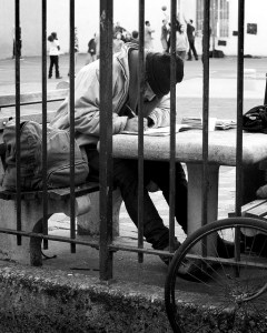 Writing in the park, Ahram 2012.