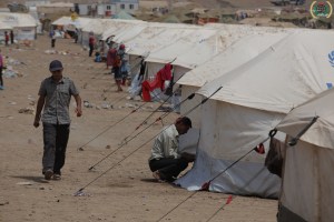 9577264428_e7ea8e2bb8_o