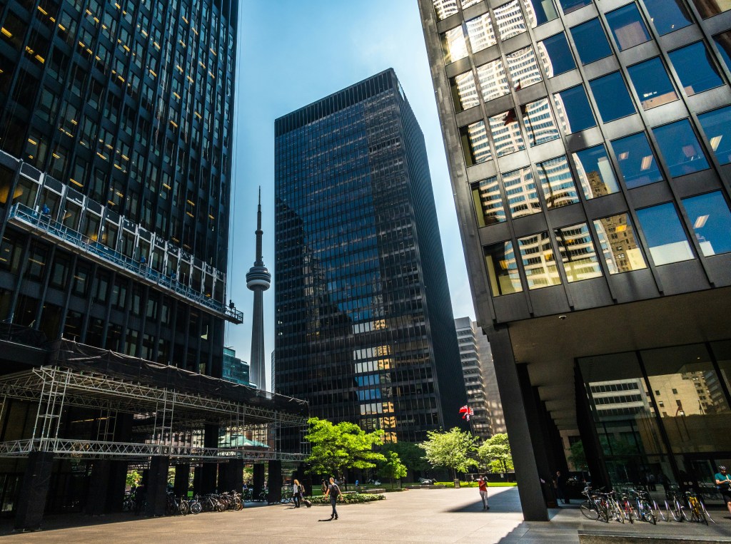 View of a cityscape featuring tall skyscrapers, with the CN Tower visible in the background. The image captures sunlight reflecting off the glass buildings and includes greenery in the foreground.